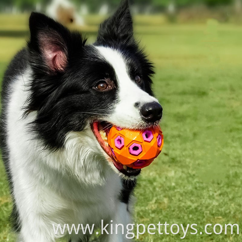 Durable Rubber Chew Toy 